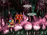Retro Replays Donkey Kong Country 3: Dixie Kong's Double Trouble (SNES) Part 11