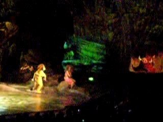 spectacle roi lion disney land