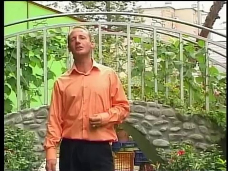 Nikolin Perpali - Lypsari bukurise