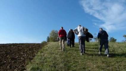 Cachette et rainette