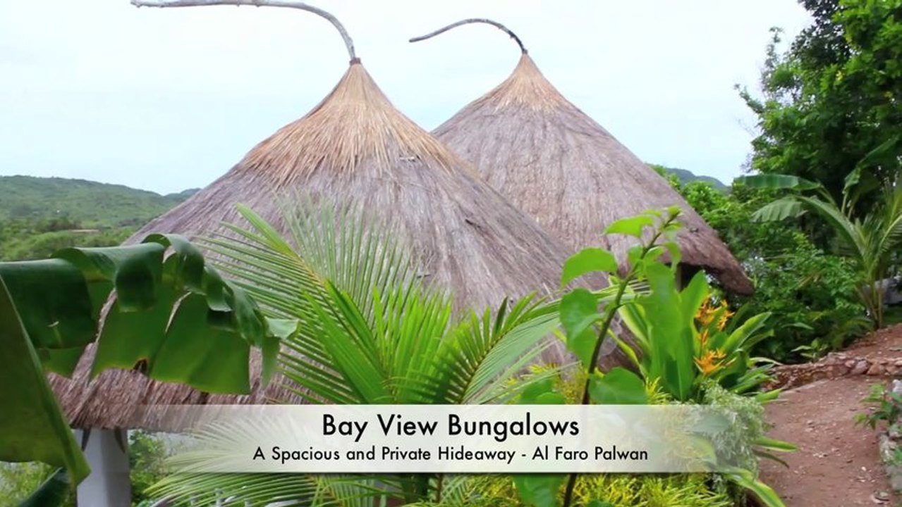 Alfaro Palawan