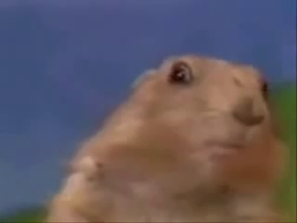 Dramatic Chipmunk