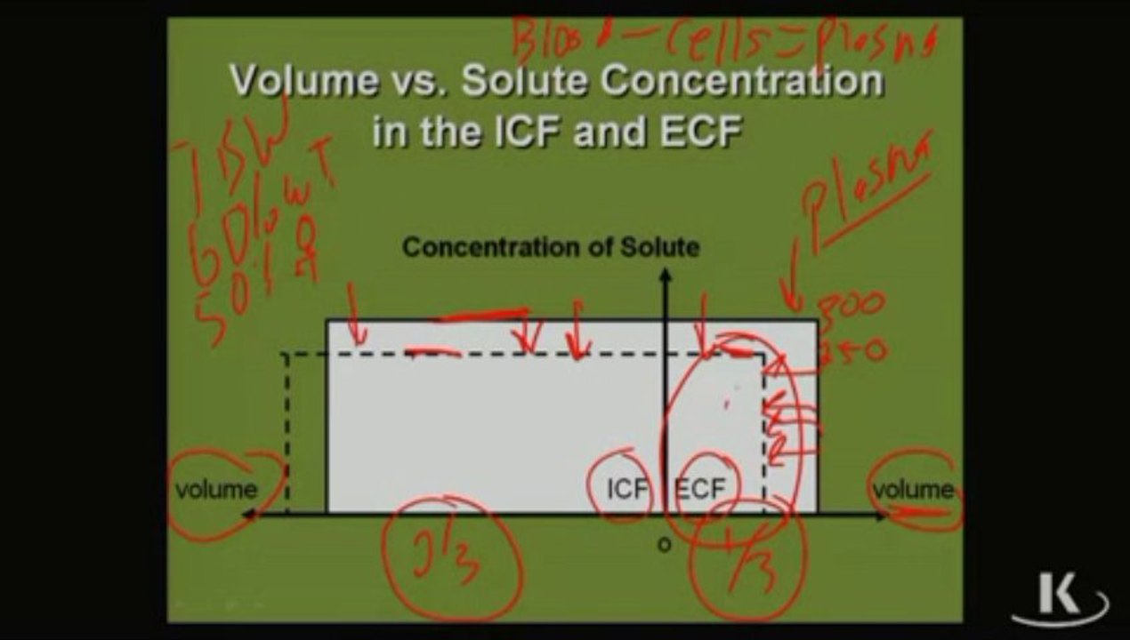 Physio_Fischer_Sec01_Ch01a_DistributionofFluids_xvid