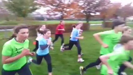 Teaser Les Alligators 2014