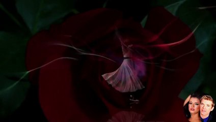 Kraljica Balkana - Queen Of The Balcan