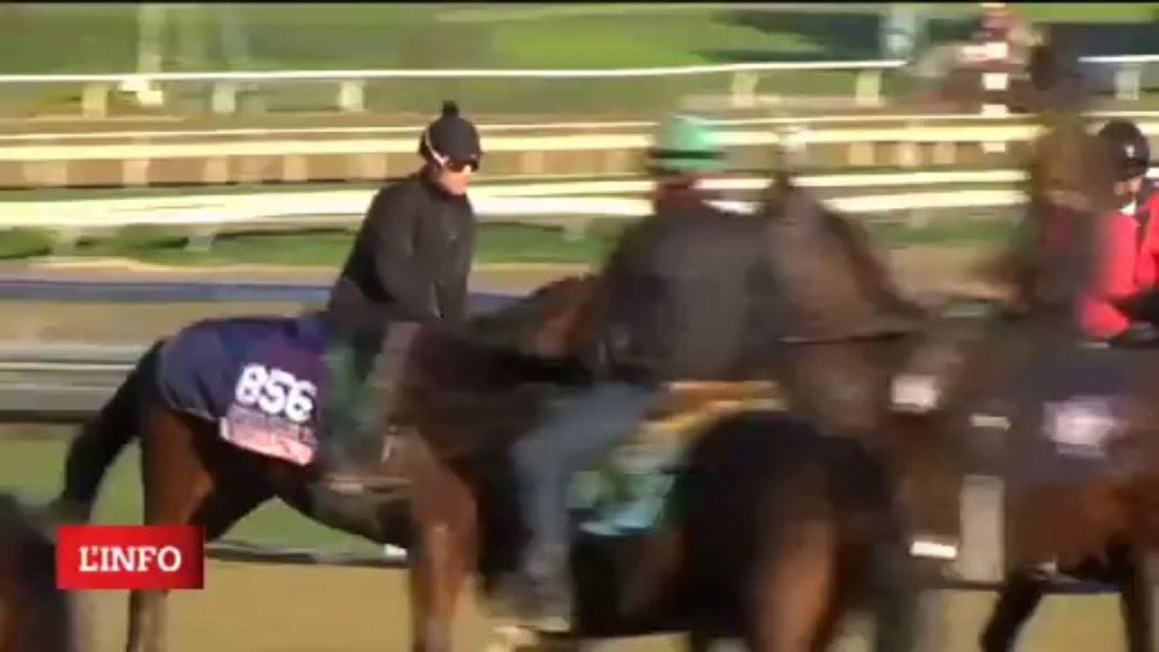 Vorda : les ultimes impressions avant la Breeders Cup 2013