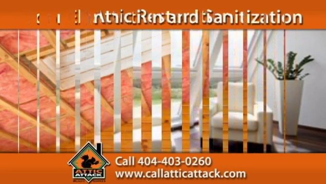 Atlanta Wildlife Removal | Acworth Humane Animal Trapping Call 404-403-0260