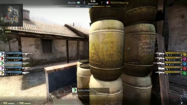 ESWC 2013 : Team Mistral vs Druidz - Demi Finale Ladies