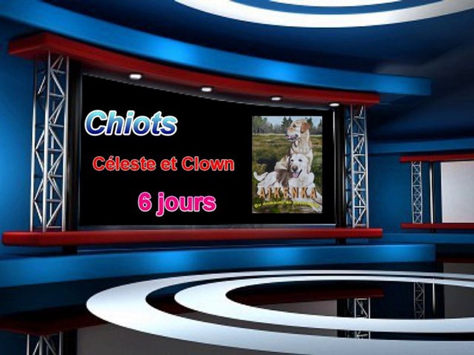 Chiots 2013 - 6 jours