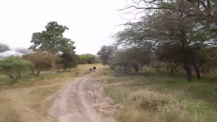 PARC DE BANDIA 30 OCTOBRE 2013