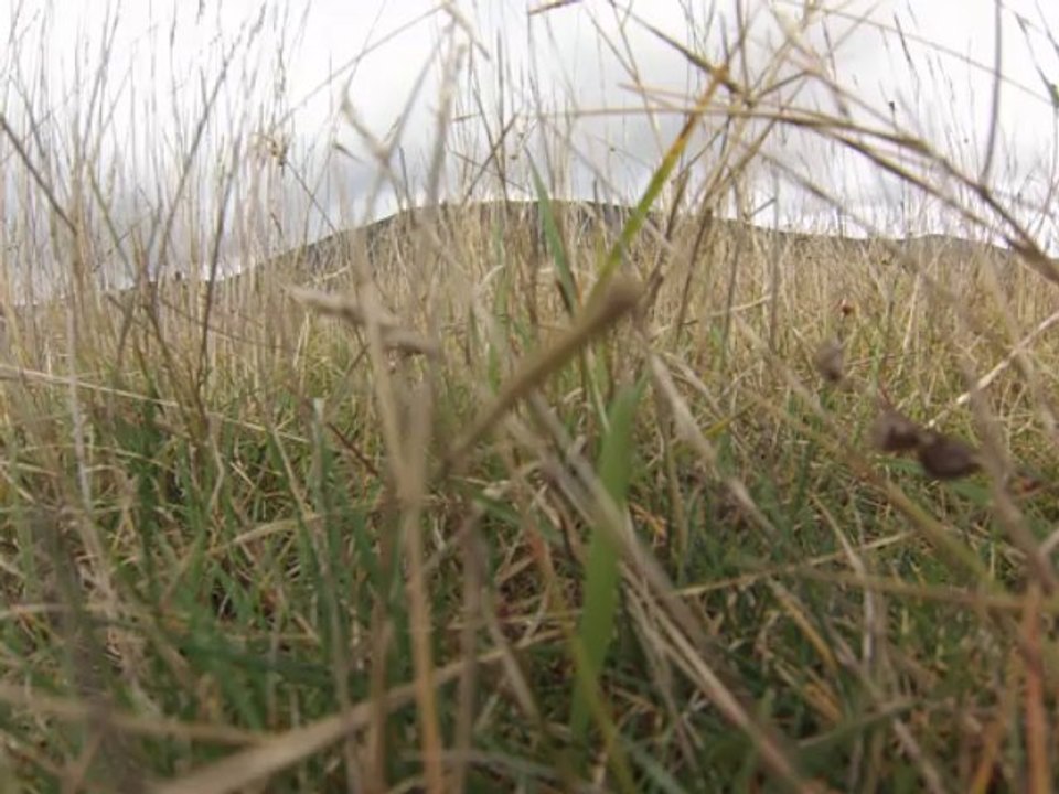 Gréolieres , grand plateau
