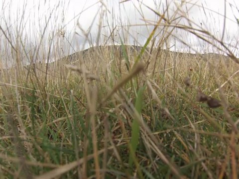 Gréolieres , grand plateau