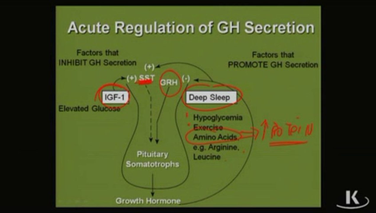 Physio_Fischer_Sec10_Ch09d_CntrlGrowthHormSecret_xvid