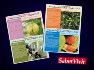 SABER VIVIR 381 youtube