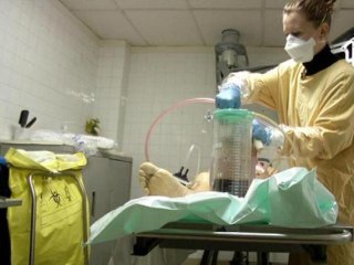 Thanatopracteur, un métier au contact des morts - 01/11