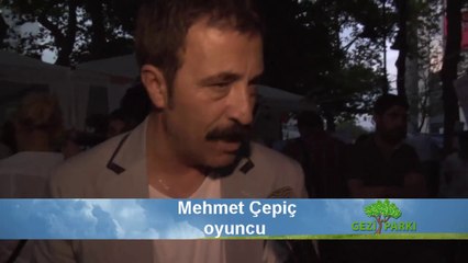 Mehmet Çepiç'le Gezi Parkı direnişini konuştuk