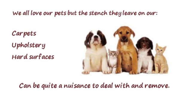 Pet Odor Removal Calgary