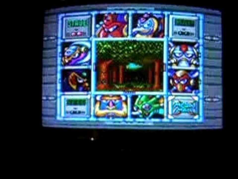 Mega Man