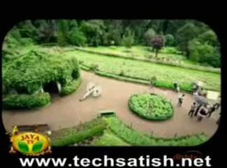 Latest Song Releases 🎶