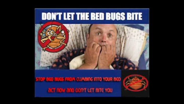 How to get rid of bed bugs