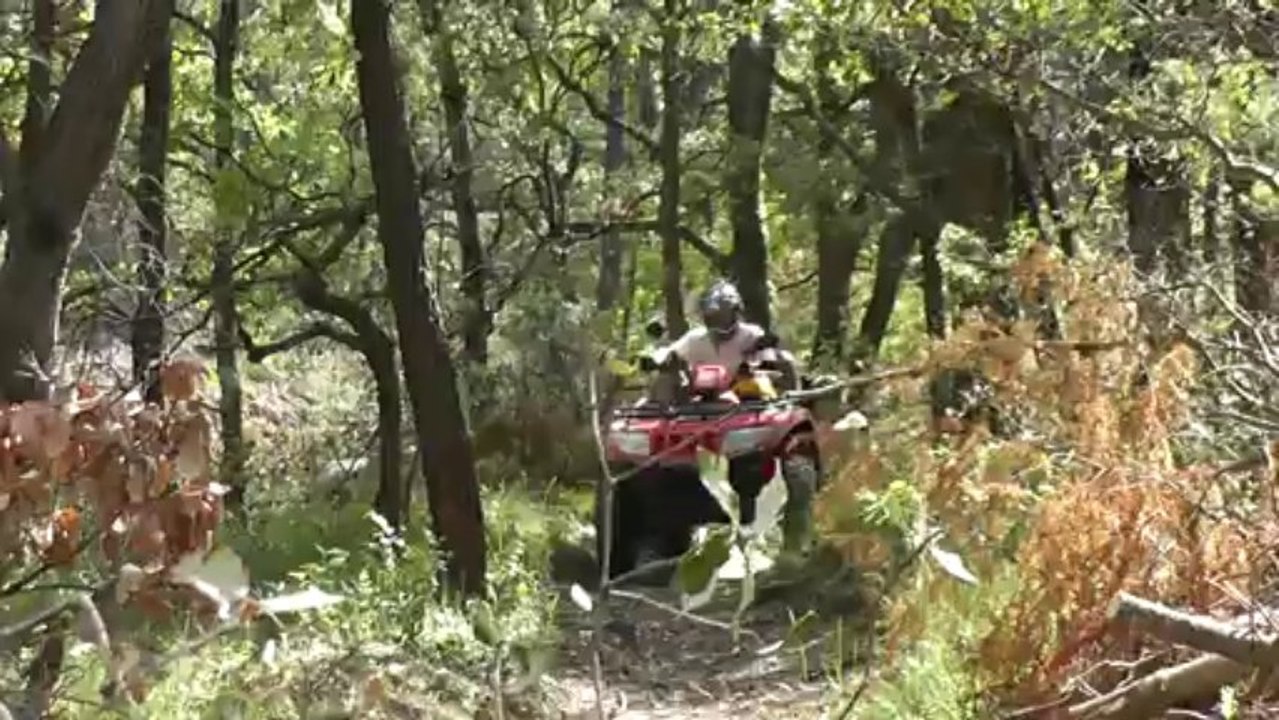 Arctic cat 650 H1 à St Paul - 2013