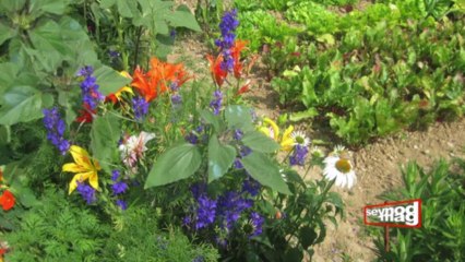 Seynodmag du 1er novembre 2013