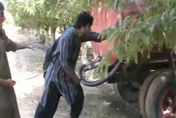 dont underestimate the power of A common man!!
