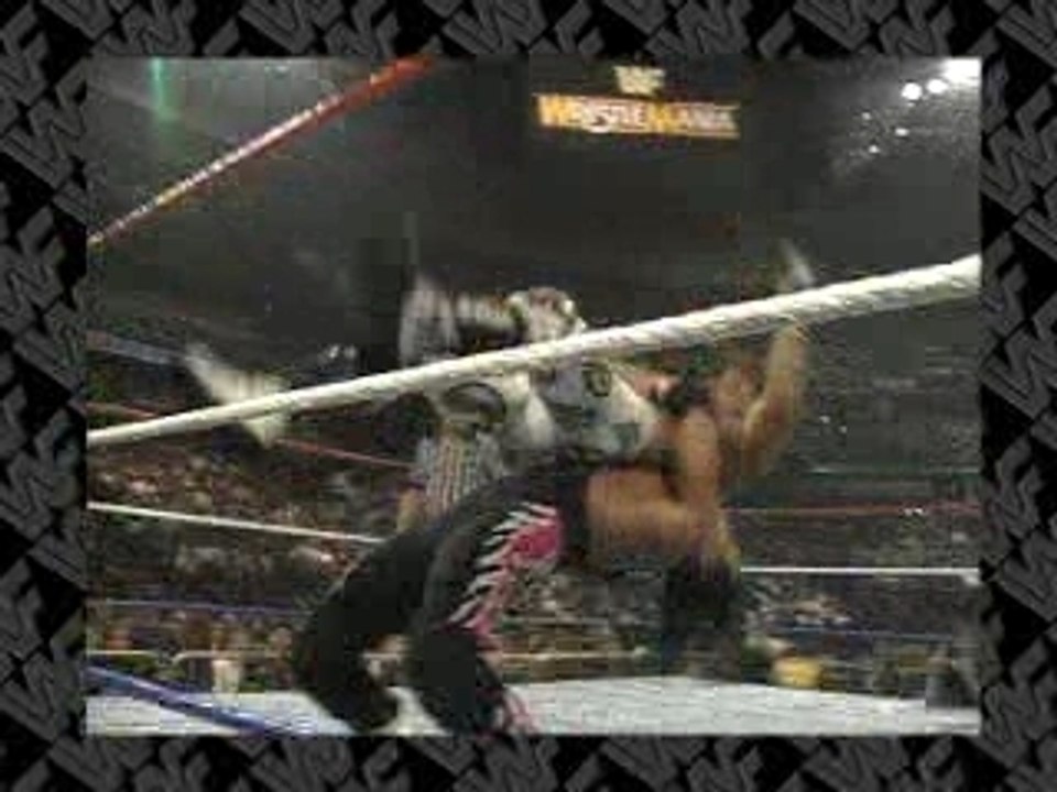 Bret Hart - The Hitman