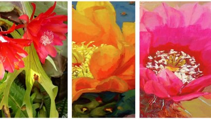 LK Tình Yêu - Ngọc Lan,Trung Hành,Kiều Nga (ASIA16.HD)