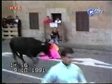 Humour Accident vache