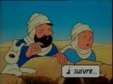 Tintin Margarine Fruit d'or Tournesol dans le désert - 1988