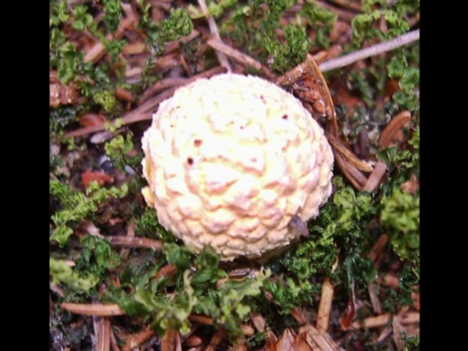 Rockiger Spaziergang