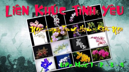 LK Tình Yêu 1.2.3.4 - Ngọc Lan,Trung Hành,Kiều Nga (Orchids.HD)