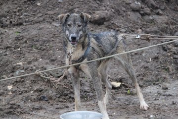 2013.10 Entrainement Aurélien