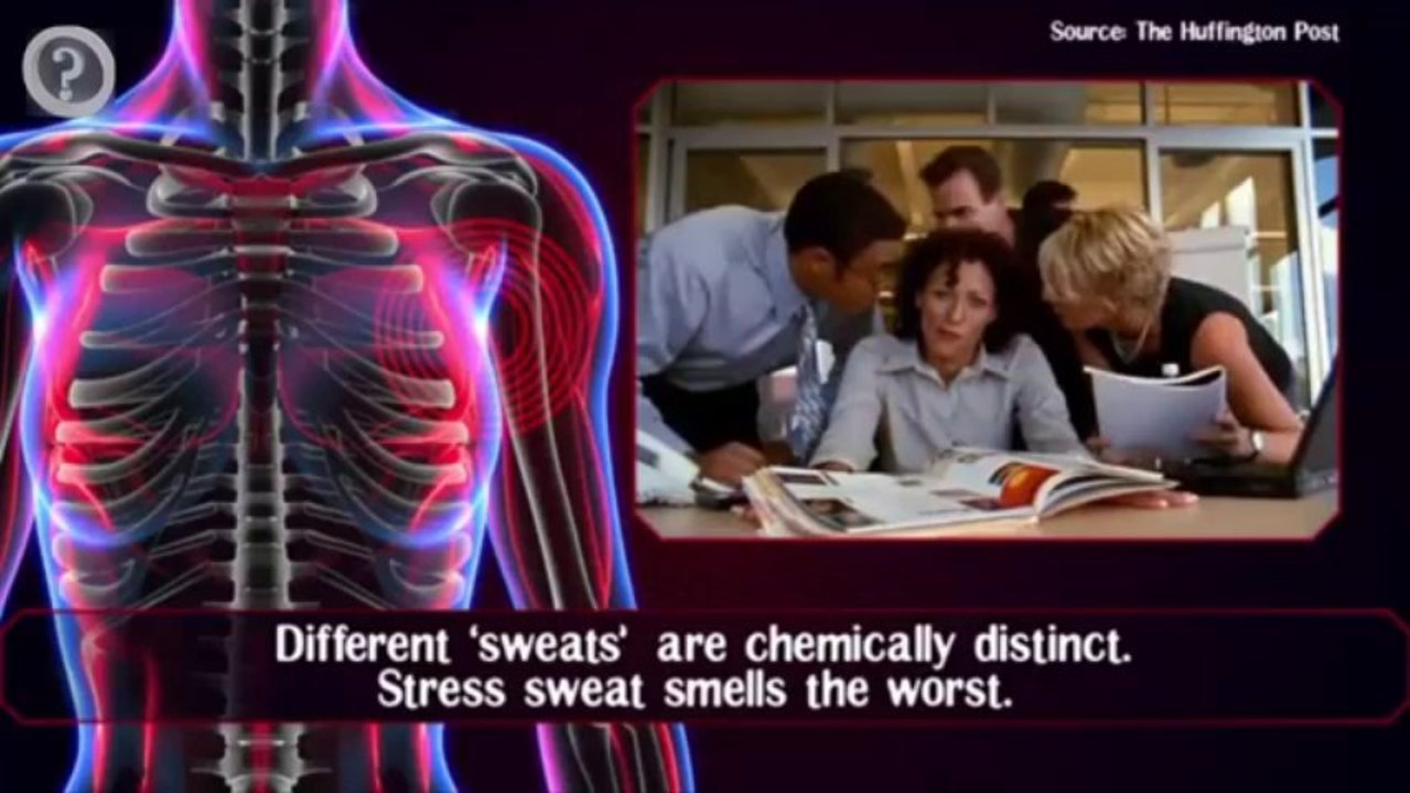 নিজের দেহ সম্পর্কে ১০টি জিনিষ যা আপমি জানেন না