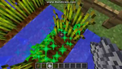 Как да си сеете жито в Minecraft-Урок