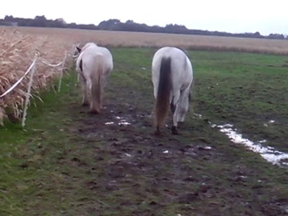 Mystic 2/11 soir bis