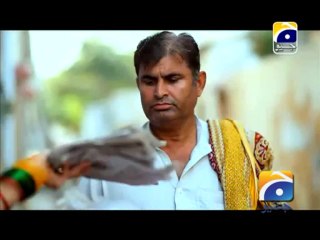 Chhoti Chhoti Khushiyan-Episode 5