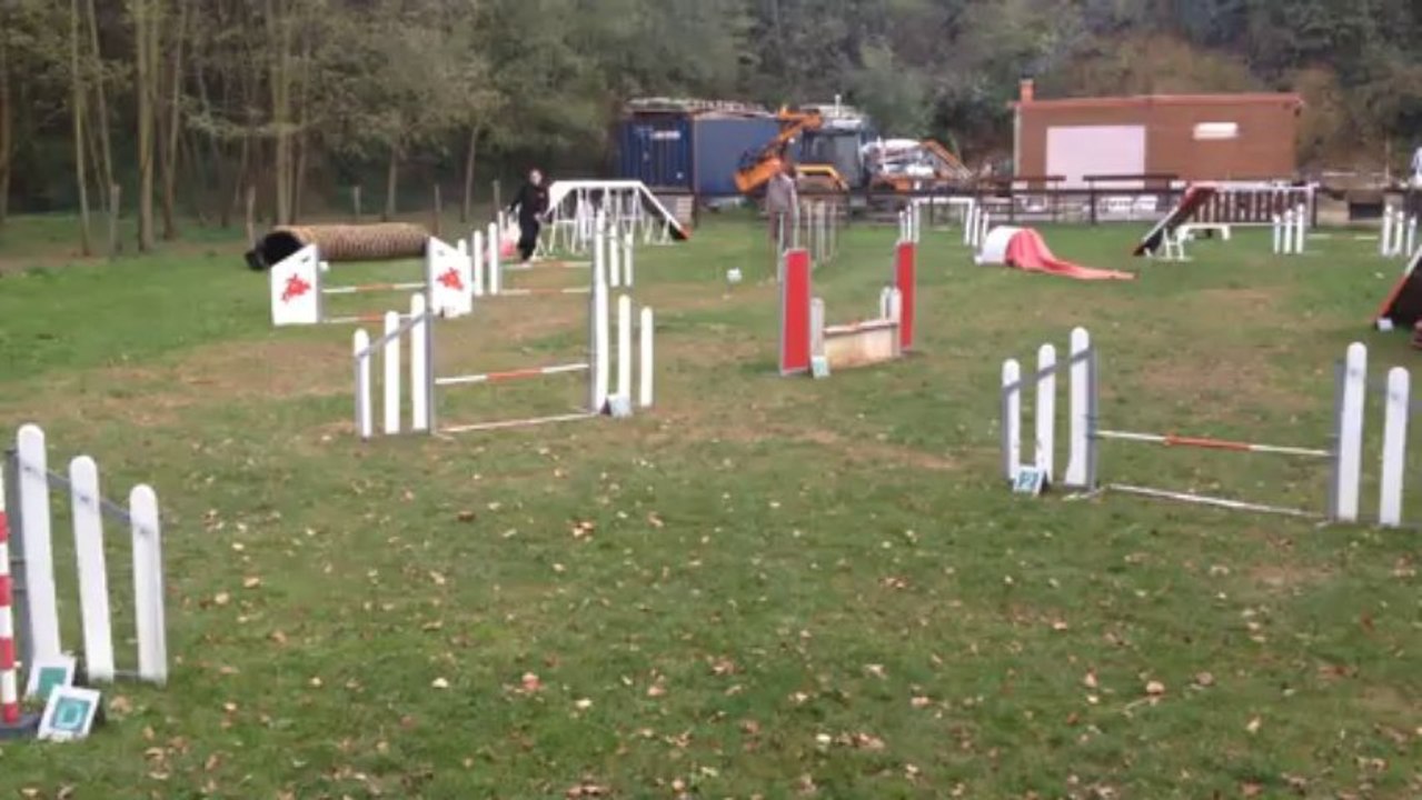 Agility -021113