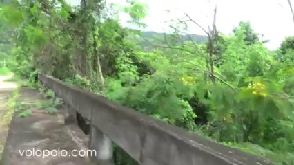 Kaeng Krachan National Park, Jungle and Bridge