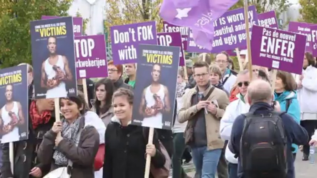 1500 personnes défilent contre un projet d' élevage de visons à Wervik en Belgique