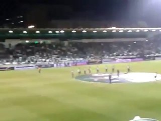 Ολη η Λεωφόρος ένα «χόρτο μαγικό»