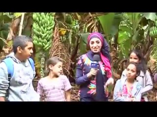 بيت بيوت 1-11-2013