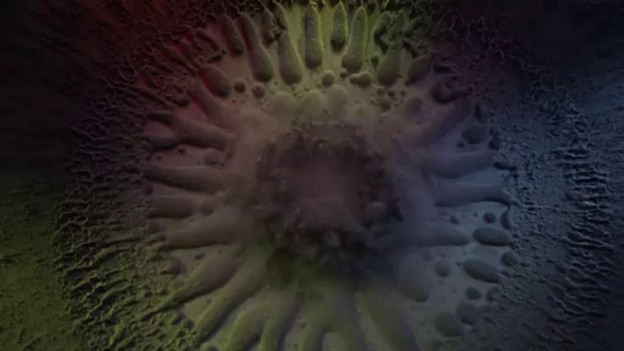 Radial CITY