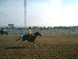 festival ameirain paris 2006(01)