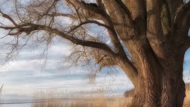 Geç Oldu - Uğur Işılak