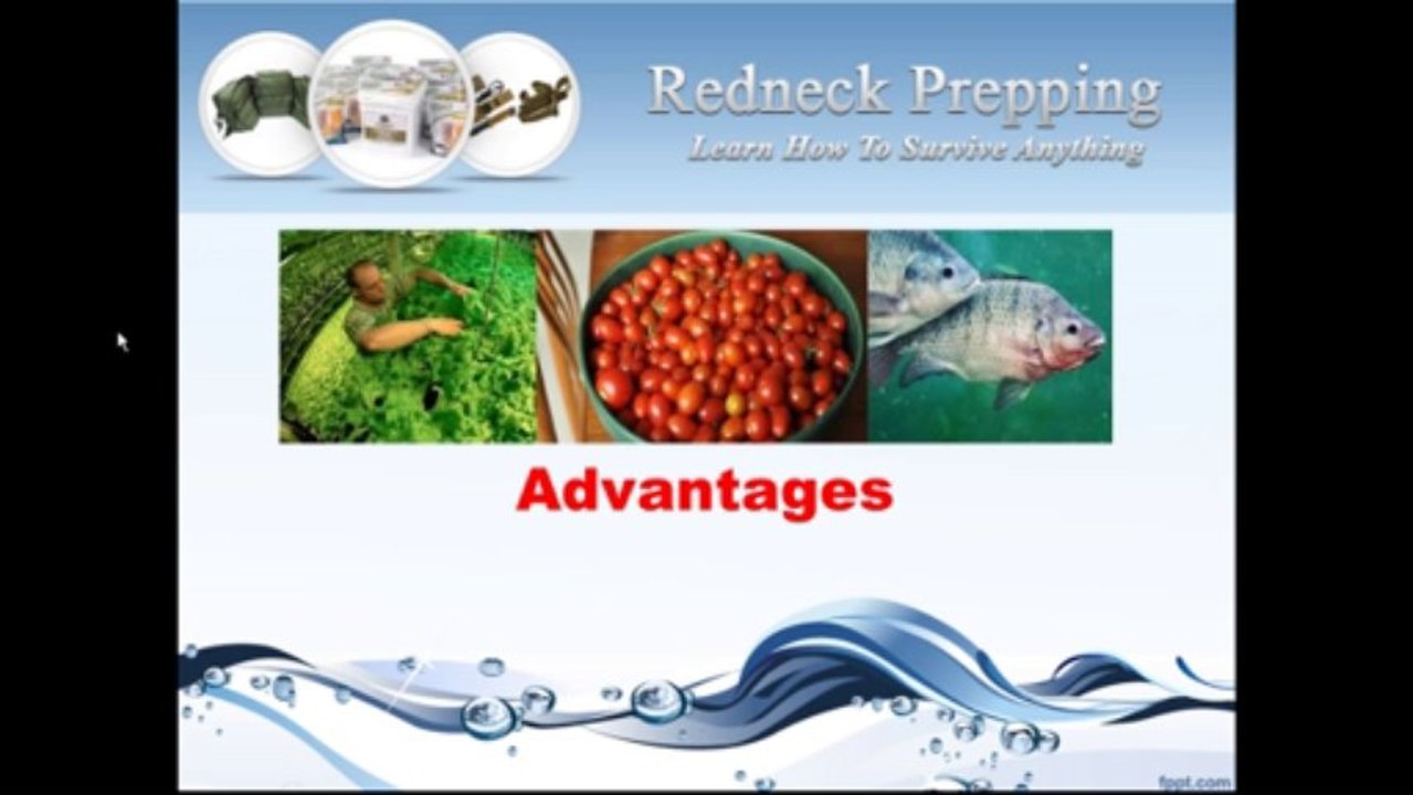 Aquaponics A New Way Of Farming
