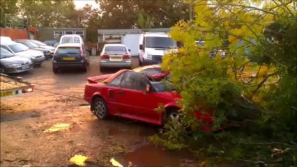 Car crushed by tree
