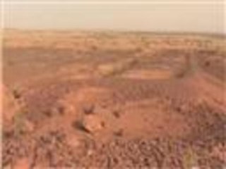 مساع دولية لتنمية منطقة الساحل الأفريقي