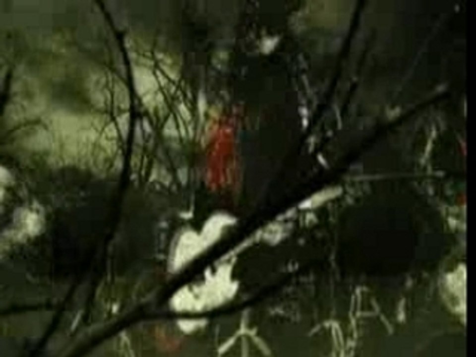 Wednesday 13 - I Walked With A Zombie